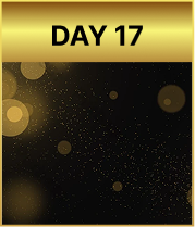 Day 17
