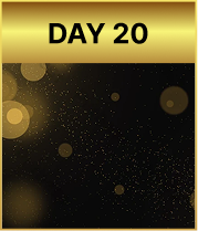 Day 20