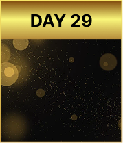 Day 29
